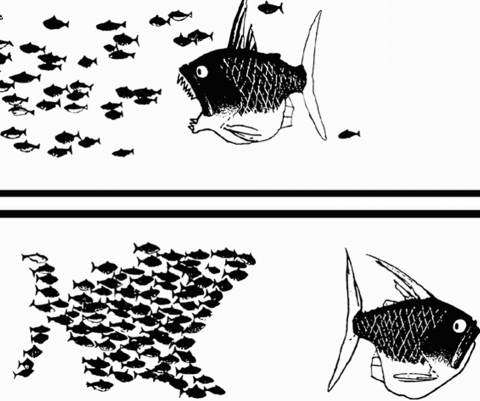 drawing in black and white showing fish swimming