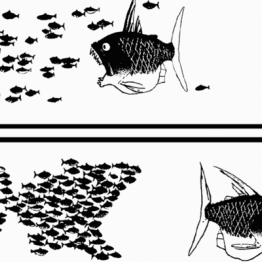 drawing in black and white showing fish swimming